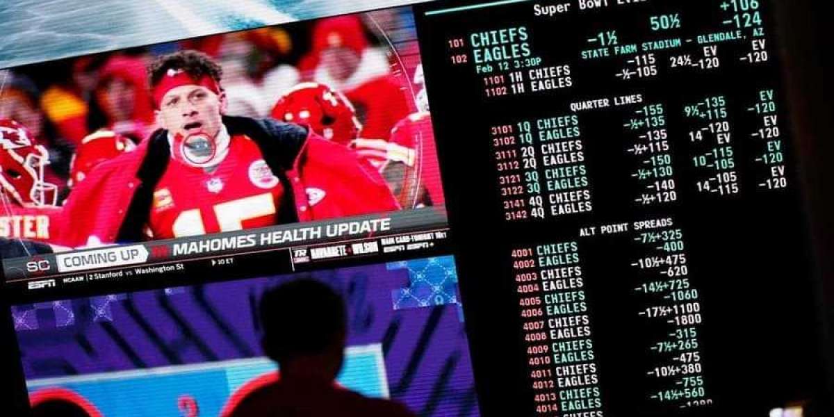 Rolling the Dice in Seoul: Your Ultimate Guide to Korean Sports Gambling Sites