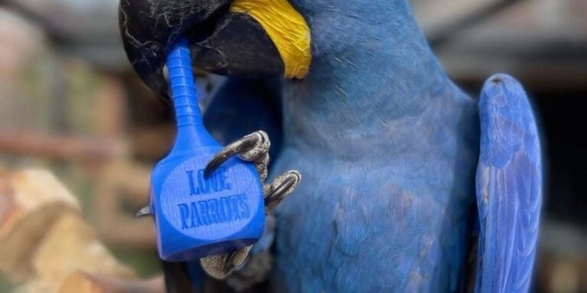 Understanding the Cost of Blue Macaws: An Insight into the Exotic Bird Market