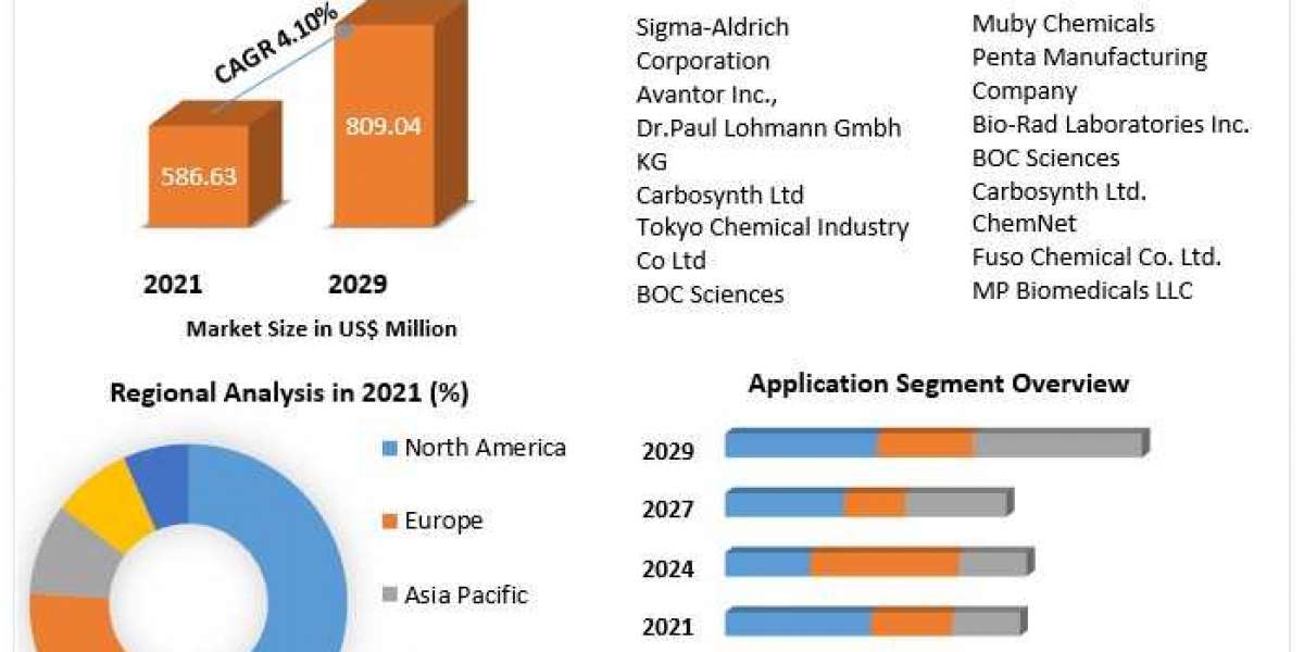 Sodium Malate Market Trends and Innovations by 2029