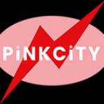 PINK CITY MEP IN DUBAI Profile Picture