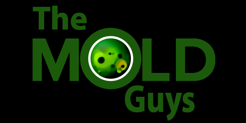 The Mold Guys Profile Picture