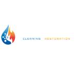 Meticulosity Cleaning and Restoration Profile Picture