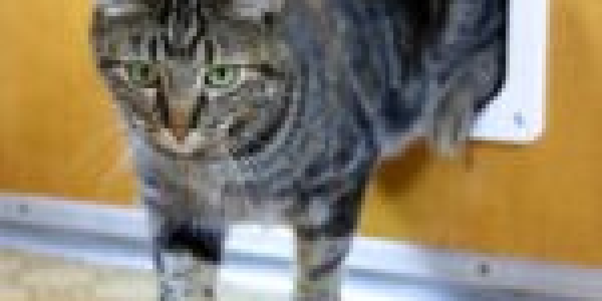 Nine Things That Your Parent Taught You About Custom Cat Flap Installation