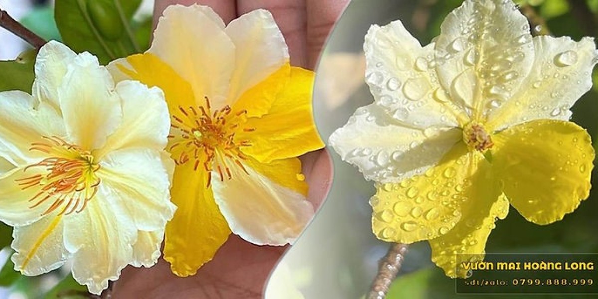 Cách phòng và trị sâu ăn lá