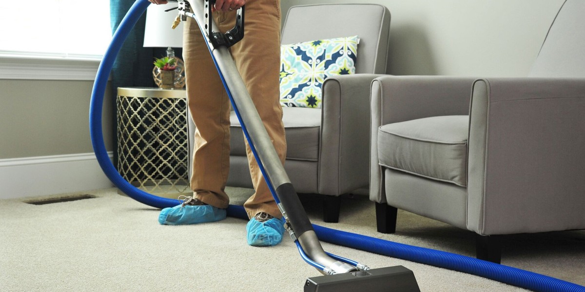 The Efficacy of Carpet Cleaners: An Observational Study