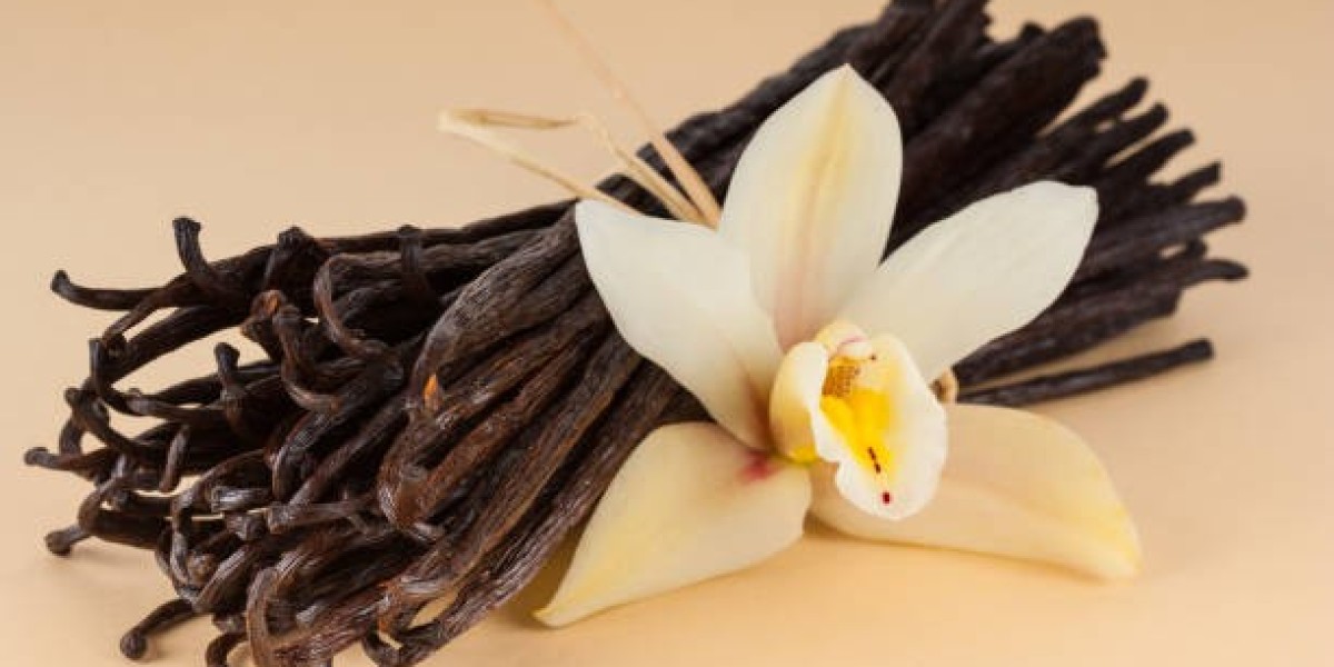 Vanilla Market Dynamics: Sustainability and Supply Chain Challenges